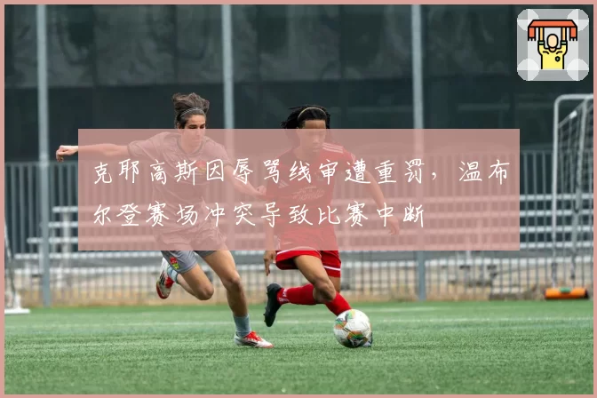 克耶高斯因辱骂线审遭重罚，温布尔登赛场冲突导致比赛中断