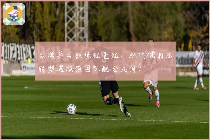 台湾乒乓教练组重组，林昀儒打法转型遇瓶颈团队配合几何？