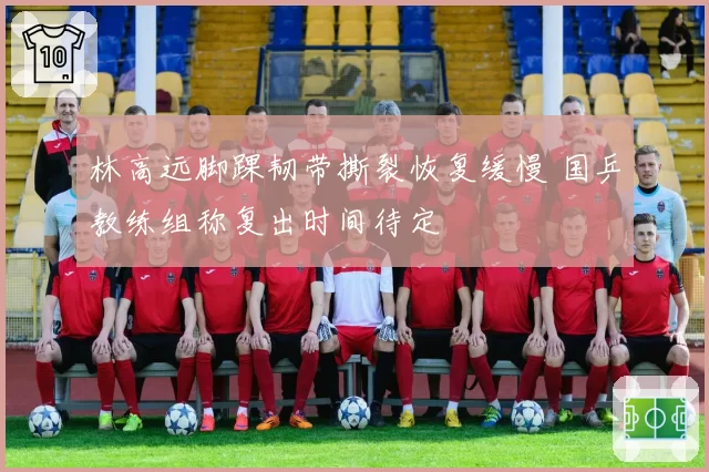 林高远脚踝韧带撕裂恢复缓慢 国乒教练组称复出时间待定