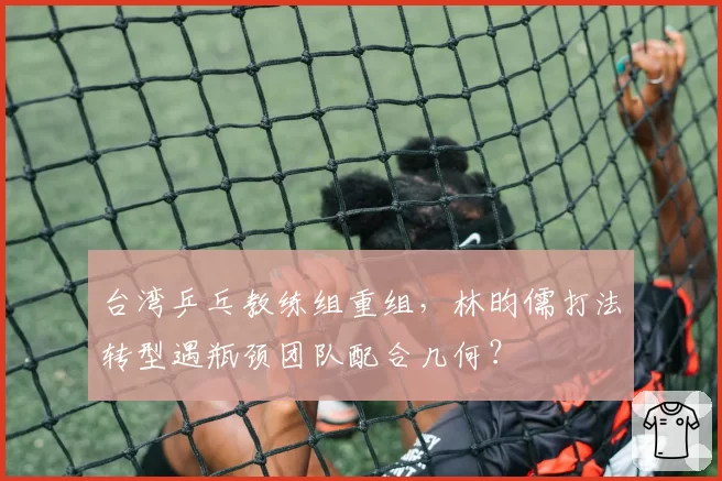 台湾乒乓教练组重组，林昀儒打法转型遇瓶颈团队配合几何？