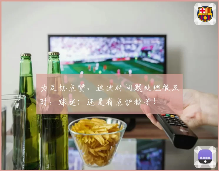 为足协点赞,这次对问题处理很及时,球迷:还是有点护犊子!