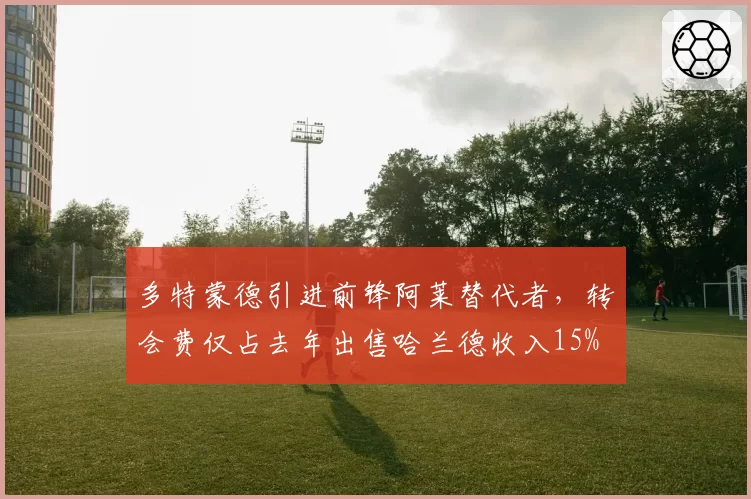 多特蒙德引进前锋阿莱替代者,转会费仅占去年出售哈兰德收入15%